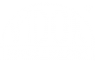 Vidok